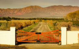 Cafayate Entry Gate Panorama – closed gate – LO