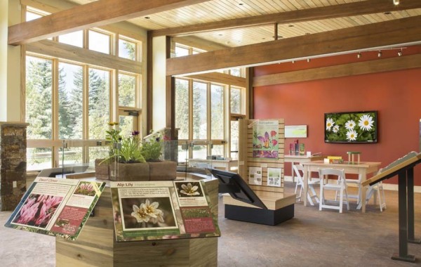 Betty Ford Alpine Gardens Education Center | Interior