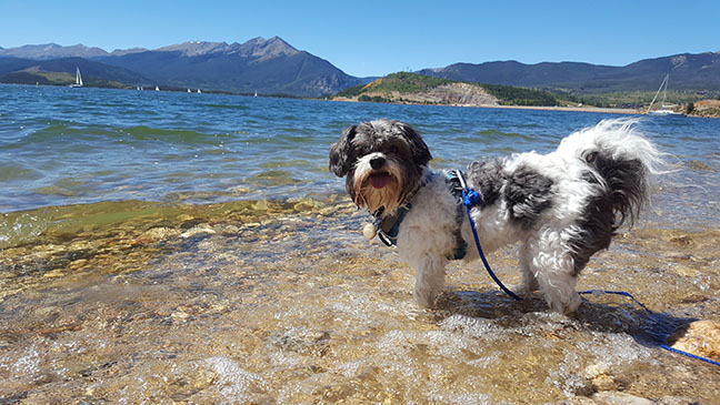 lh-mr-finnegan-on-lake-dillon-lo