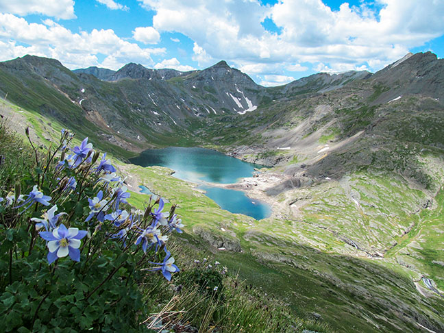 mr-columbines-above-silver-lake-outside-silverton-lo