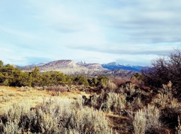 Durango Mesa Park Vision Begins to Take Shape