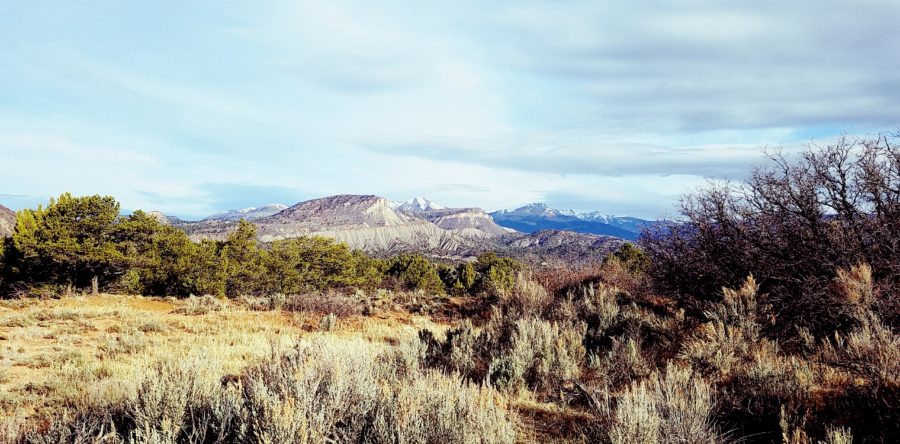 Durango Mesa Park Vision Begins to Take Shape