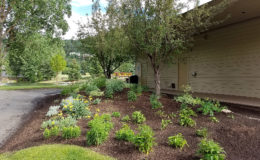 EV-Pavilion—Entry-Landscaping-looking-East—LO