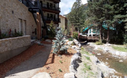 Taos-TSV-Stream-Restoration—Stream-Plantings-Below-Hotel-Pool—LO