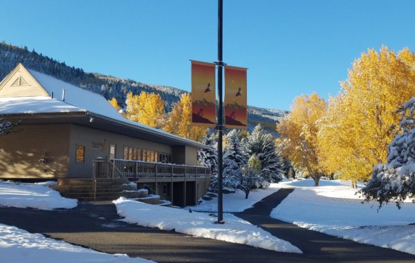 Eagle-Vail Pavilion Park Renovation