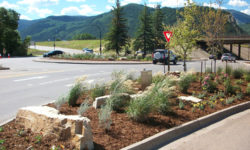 Avon Road Landscape Improvements