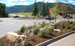 Avon-Road-Improvements—Median-Vegetation—LO