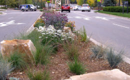 Avon-Road-Improvements—Median-looking-South—LO