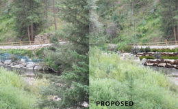 Stream-Bank-Restoration—Proposed-Streambank-Image—LO