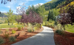 Vail-Golf-and-Nordic—-Ext-Paved-Trail-02—LO