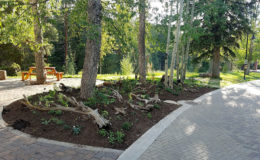 Ford-Park-School-House—-Natural-Berm-Feature—LO