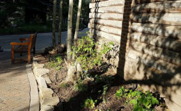 Ford-Park-School-House—-Shed-North-Garden—LO
