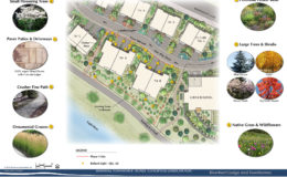 Riverfront-Townhomes—TH-B-Concept-Landscape—LO