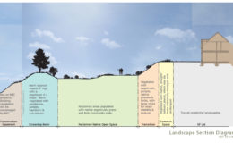 River Edge – Landscape Section Diagram